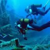 Diving - Image 4